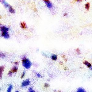 gogogo免费非洲完整
